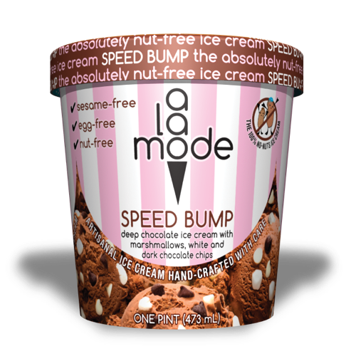 Ice Cream Delivery NutFree, Eggless Ice Cream, Pack of 6 pints